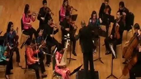 Harrison Pipa Concerto (Estampie) - Yang Jing & City Chamber Orchestra of Hong Kong