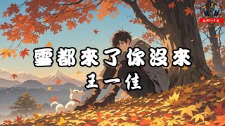 王一佳 - 雪都來了你沒來【動態歌詞Lyrics】