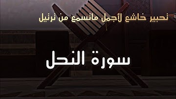 تحبير رائع لعشائية خاشعة للقارئ محمد اللحيدان من سورة النحل 1446-8-16 هـ