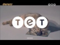 Рекламные заставки телеканала ТЕТ кот улитка Украина август 2016
