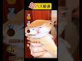 超バズ厳選‼️おもしろ猫ランキング🙀