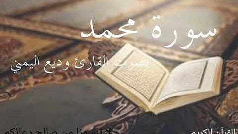 سورة محمد _ بصوت القارئ وديع اليمني