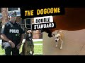 Cop Shooting Your Dog VS. You Shooting Cop's Dog