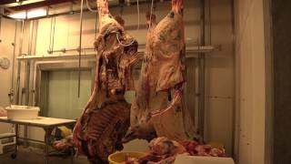 Butcher Block by Taylor Briscoe