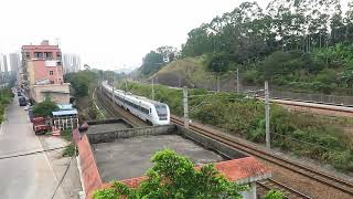 [HD] The Southbound GuangShen intercity train CRH1A - 1013 (D7509) at ZhangMuTou