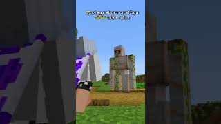 Mi̇necraftta Bi̇lmedi̇ği̇ni̇z 2 Şey