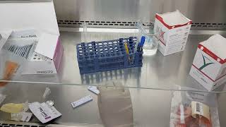 Throat Swab and Culture (Strep Throat Test)