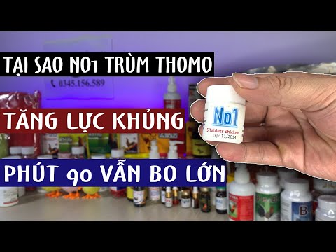 Video XÃ HÀNG THUỐC GÀ ĐÁ NO1 ĐỂ CỔ VŨ CHO MÃN NHÃN MESSI |... - youtube