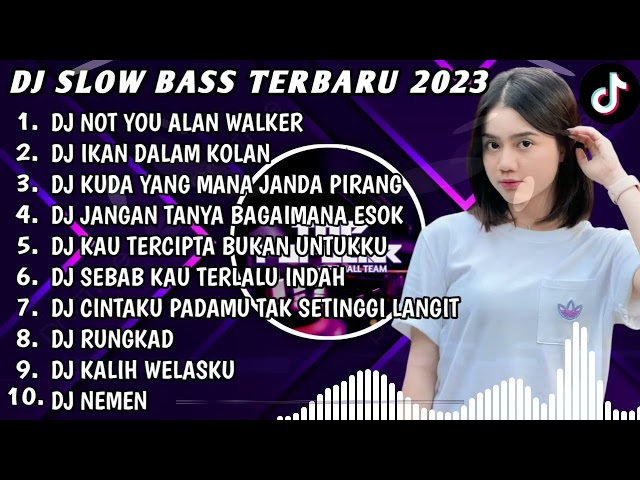 DJ SLOW BASS TERBARU 2023 - DJ NOT YOU ALAN WALKER X DJ IKAN DALAM KOLAM - DJ VIRAL class=