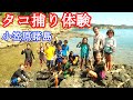 母島のタコ捕り(島っ子達の大冒険)磯遊びを学ぼう【小笠原諸島】アナダコ捕り体験