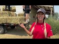 Community Rally Delivers Hay to Tartar Fire Ranchers