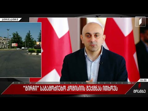 „გირჩი“ საგამოძიებო კომისიის შექმნას ითხოვს