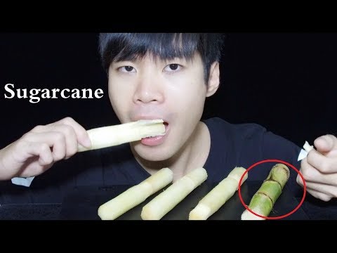 YouTube ASMR Eating sugarcane 사탕 수수 이팅 사운드  サトウキビ咀嚼音