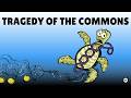 Understanding the Tragedy of the Commons and Solutions