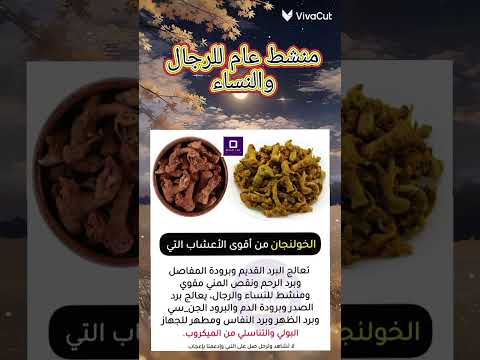 منشط ويعالج البرود الجن سي