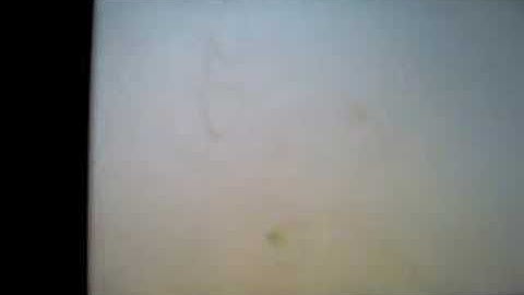 update your psp to 3.80