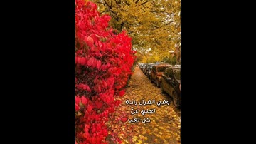 فَأَتَتْ بِهِ قَوْمَهَا تَحْمِلُهُ ۖ.... القارئ شريف مصطفى 🍂
