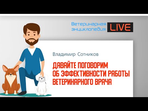 Эффективность работы ветеринарного врача