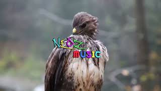 Logic   My Chain prod  6ix