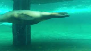 Download Lagu dagje Artis 23 september 2022 MP3