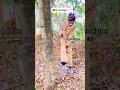 Iran Afghanistan Boarder Funnyshorts Tiktok 