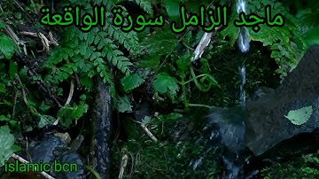 ماجد الزامل سورة الواقعة/ Majed Al-Zamil sourat Al-Waqia