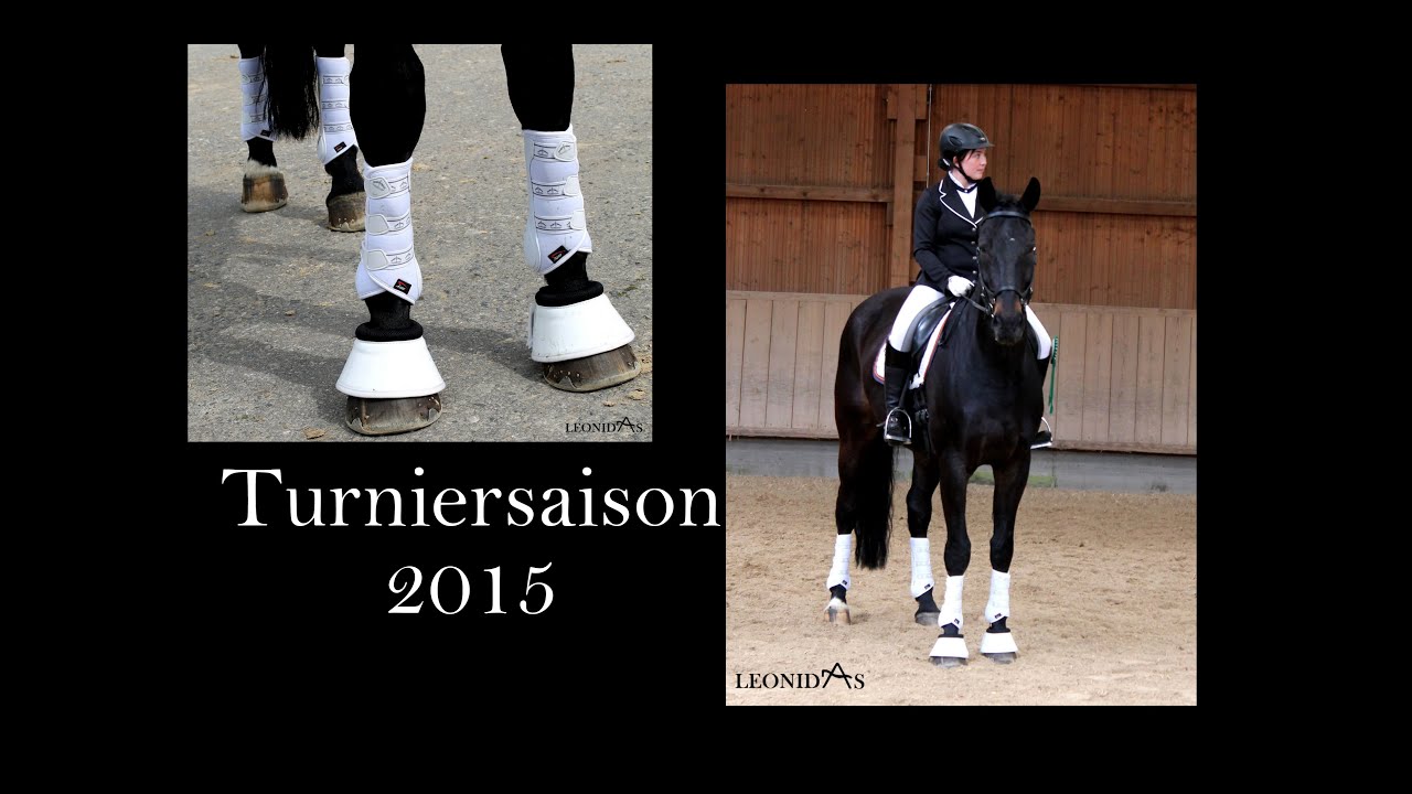 Fuchsenhof E-Dressur E1