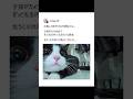 【速報... 猫 かわいい】SNSでバズった投稿にアフレコw⑪