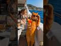 😍The Richest Cat in the World? (Wait for it...) #shorts #youtubeshorts #explore #cat #rich