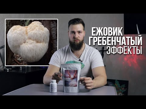 ЛЕЧЕБНЫЙ ГРИБ НООТРОП