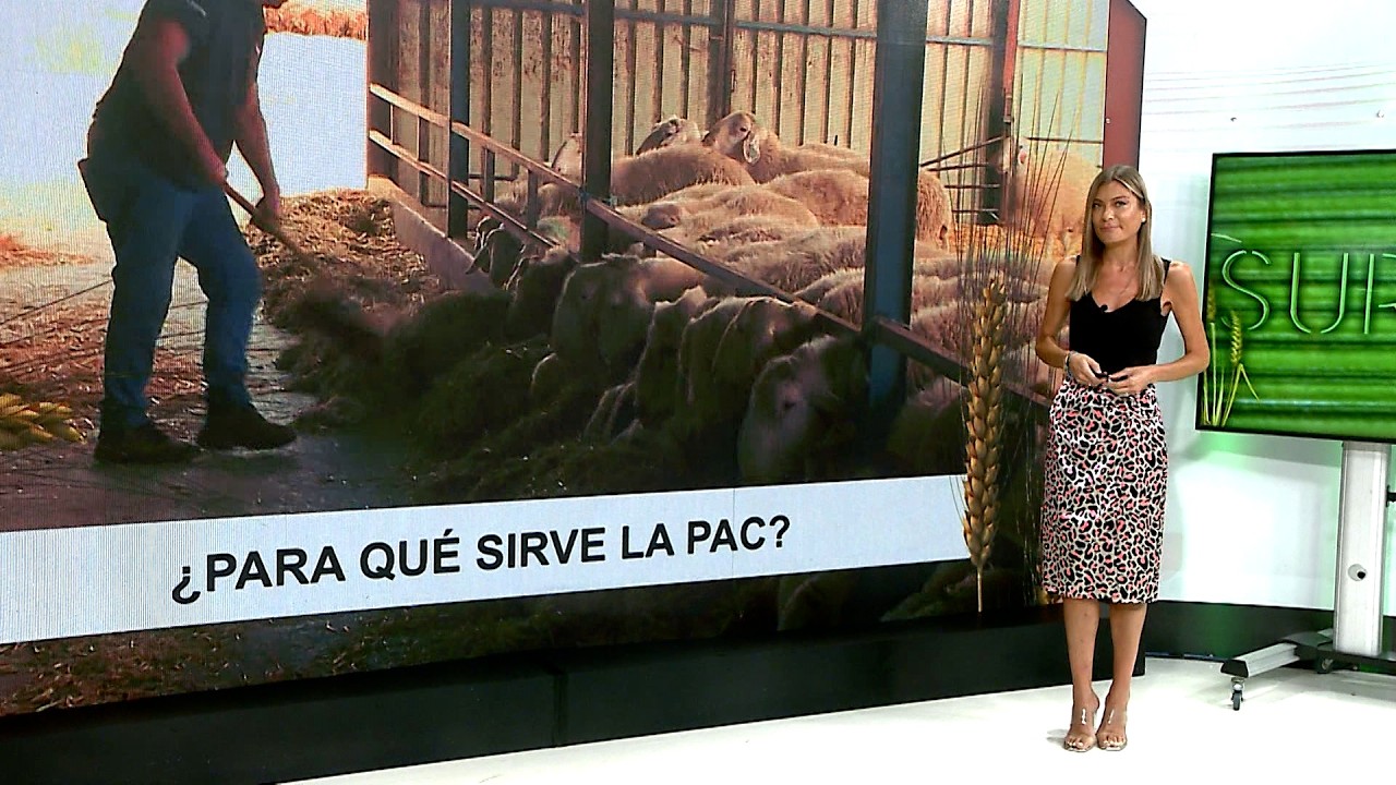 T18/E4: ¿Para qué sirve la PAC?