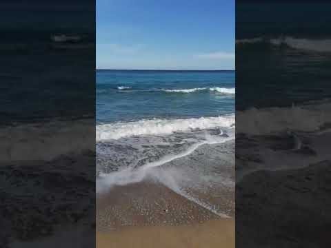 الله يا مولانا 