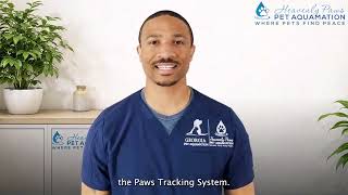 Understanding Pet Aquamation | Heavenly Paws Pet Aquamation