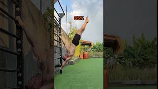 Human Flag Progressions