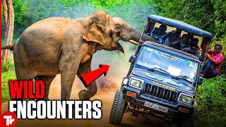 If Wild Animals Give You the Jitters, Maybe Skip This Video!