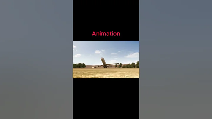 Plane Crash Animation vs Real Life (1)