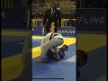 IBJJF PAN AMS HL 2023 🤩 #jiujitsu #mma #grappling #bjj #martialart #bjjfanatics #judo #blackbelt
