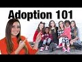 Adoption 101 | Mindy McKnight