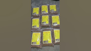 mồi câu cá trôi trắm chép số 1 Việt Nam