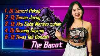 DJ TIKTOK TERBARU 2023 _  DJ SANTRI PEKOK || DJ TAMAN JURUG _ FULL BASS JEDAG JEDUG