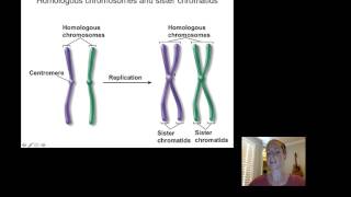 BIO6 Lecture4 DNA Part1