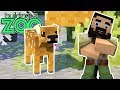 I'm Building A Zoo In Minecraft! - So Cute! - EP25