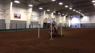 Senior riders at NWWA Fair
