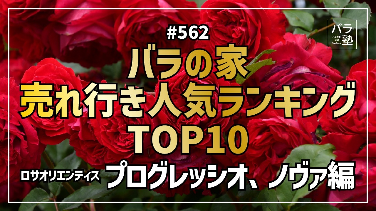 562 Rose House Top 10 Best-Selling Items: Rosa Orientis Progressio
