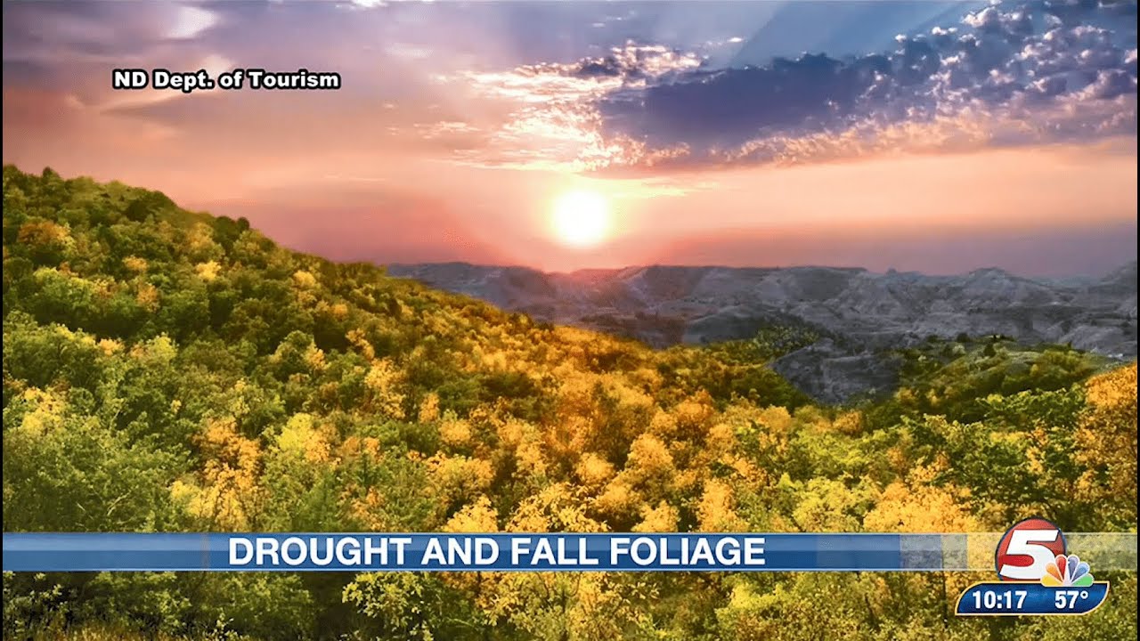 Fall Foliage and Drought - YouTube