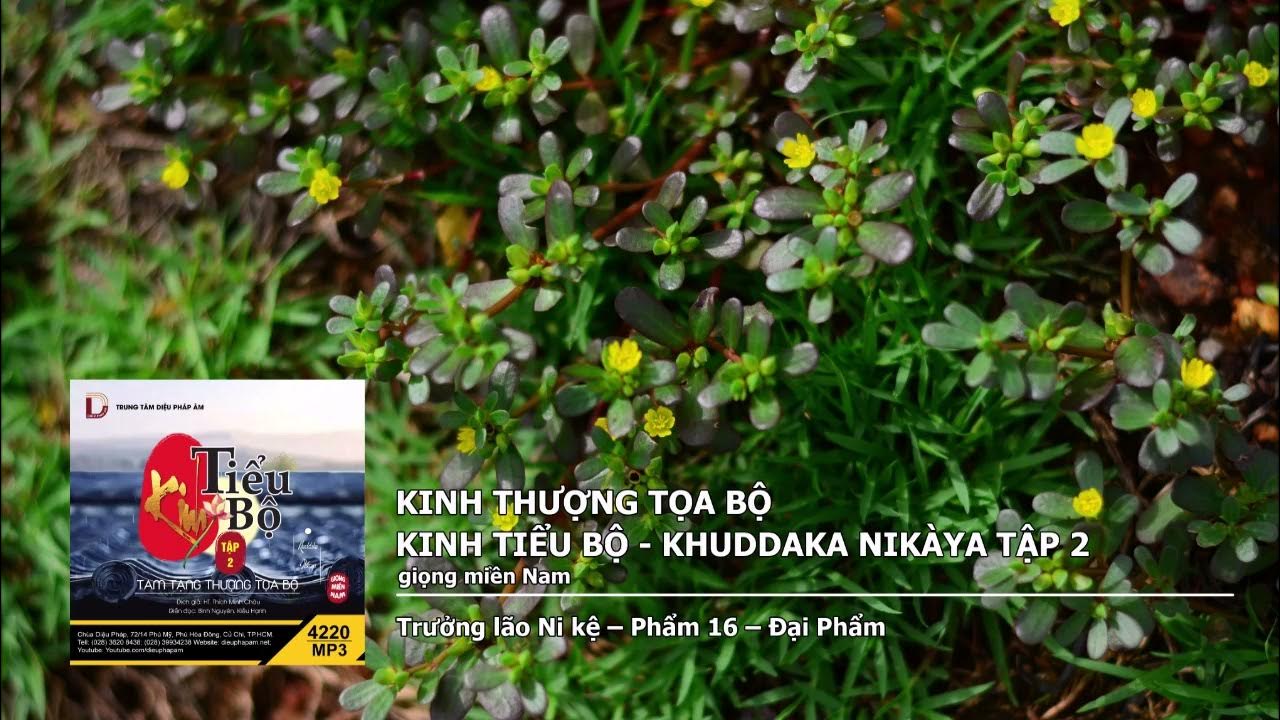 Tập 2 – Trưởng lão Ni kệ – Phẩm 16 – Đại Phẩm giọng miền Nam 