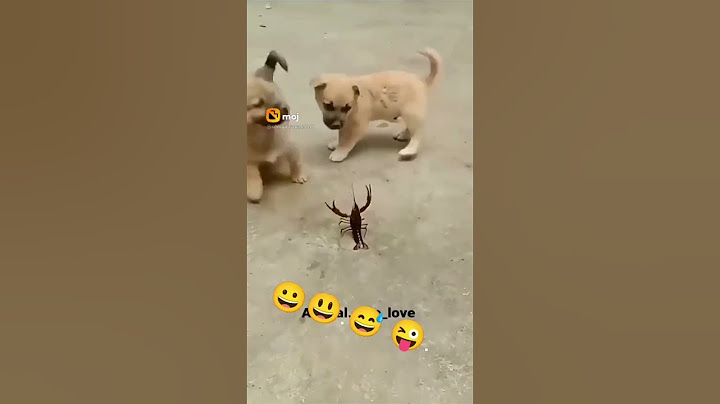Ramu kaka v/s mem sahab Ep:- 47 swimming kar payega ramu kaka?