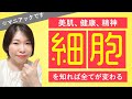 生物学は面白い！美肌・健康・精神　【細胞】を知ればすべてが変わる！