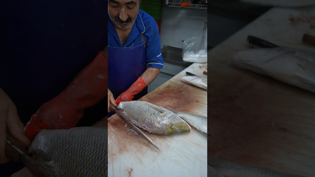 Fast & Easy Spangled Emperor Fillet – No Special Tools Needed