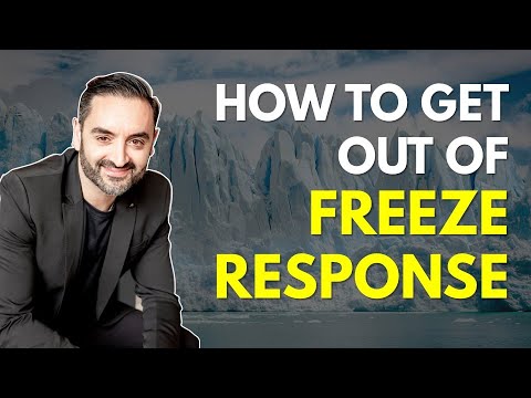 How to get out of the Freeze Response